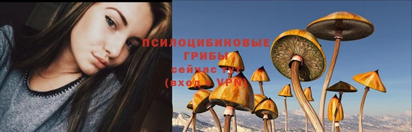 мяу мяу кристалл Богданович