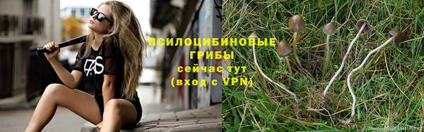 винт Богородск